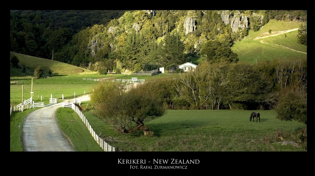 Nowa Zelandia zdjęcie: Gwiazdy w jaskiniach czyli glow worms w Nowej Zelandii