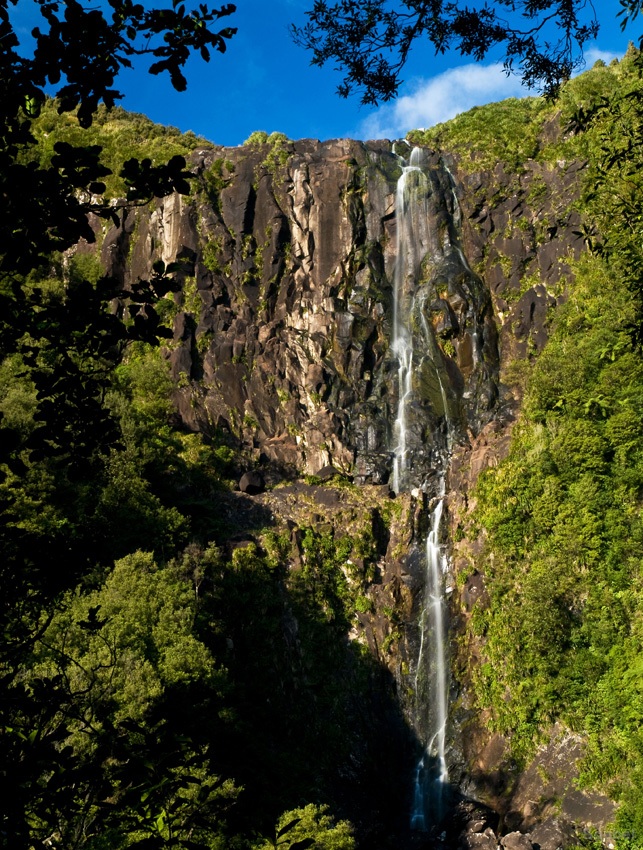 Wairere Falls - wodospad widziany z dołu