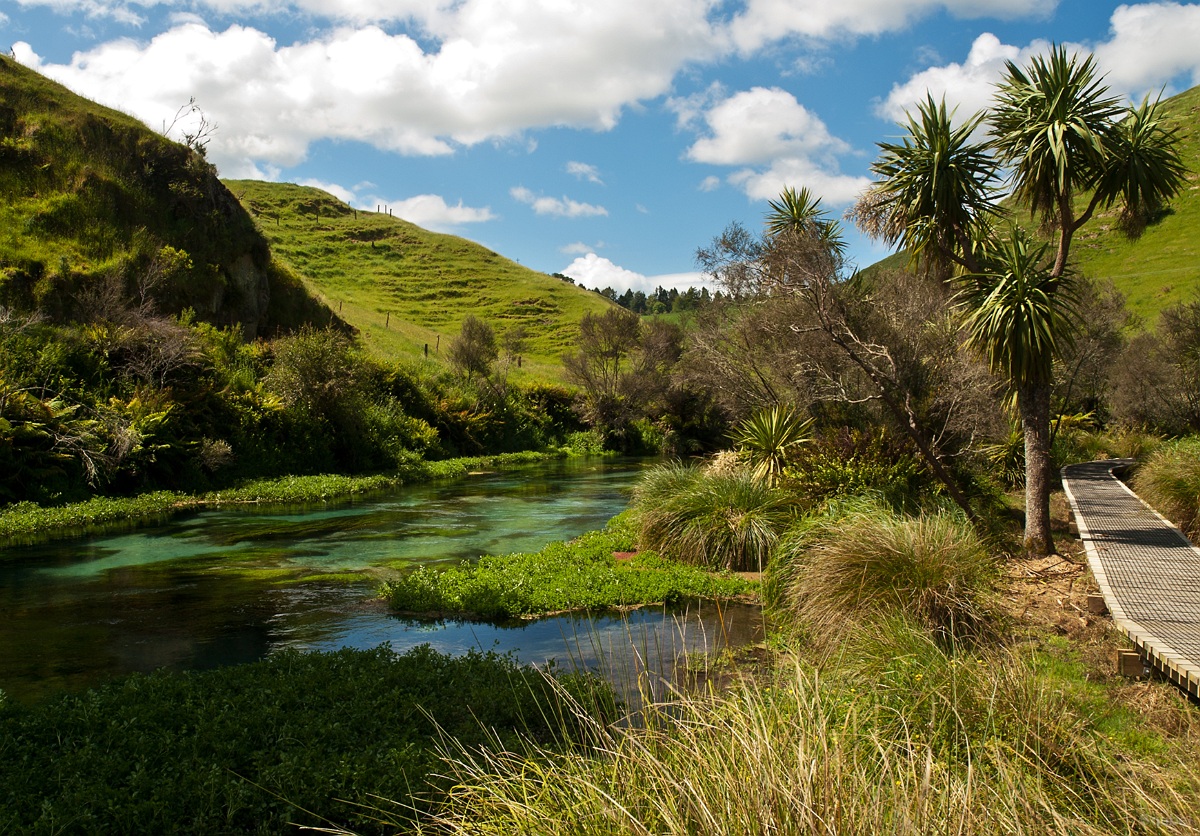 Nowa Zelandia zdjęcie: Te Waihou Walkway